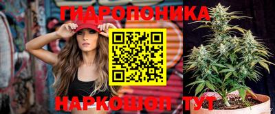 а пвп мука Владимир