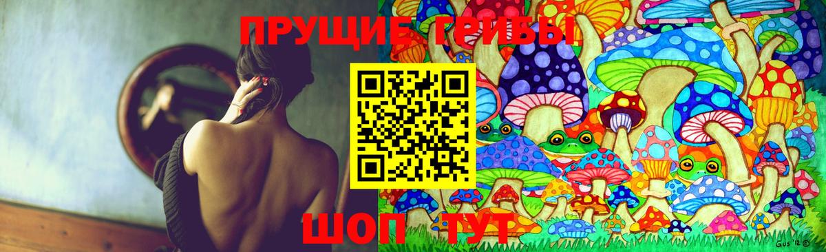 Псилоцибиновые грибы Cubensis  Вход с VPN  Волжский 