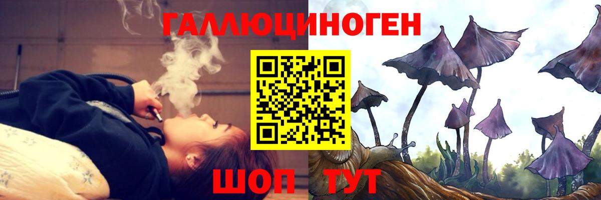 Псилоцибиновые грибы Cubensis Волжский